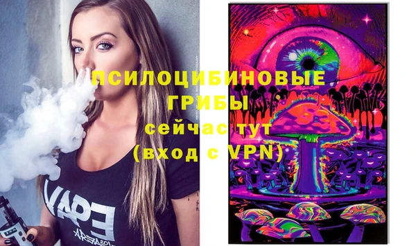 гашик Горнозаводск