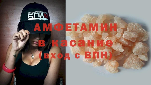 мяу мяу мука Горно-Алтайск
