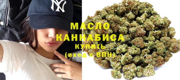 хмурый Горняк