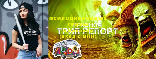 мяу мяу мука Горно-Алтайск