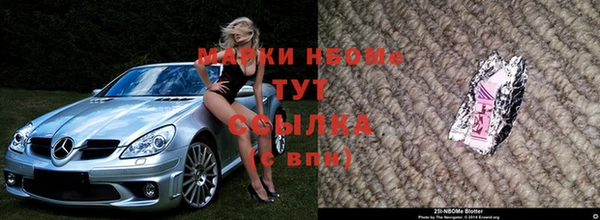 мяу мяу мука Горно-Алтайск