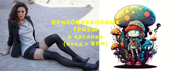 хмурый Горняк